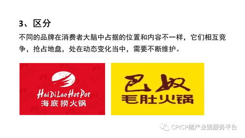 肖一刀 從零起步，匠心打造豬肉品牌的突圍之路