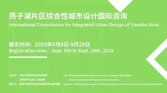 燕子湖片區國際咨詢啟幕 共繪城市新客廳藍圖